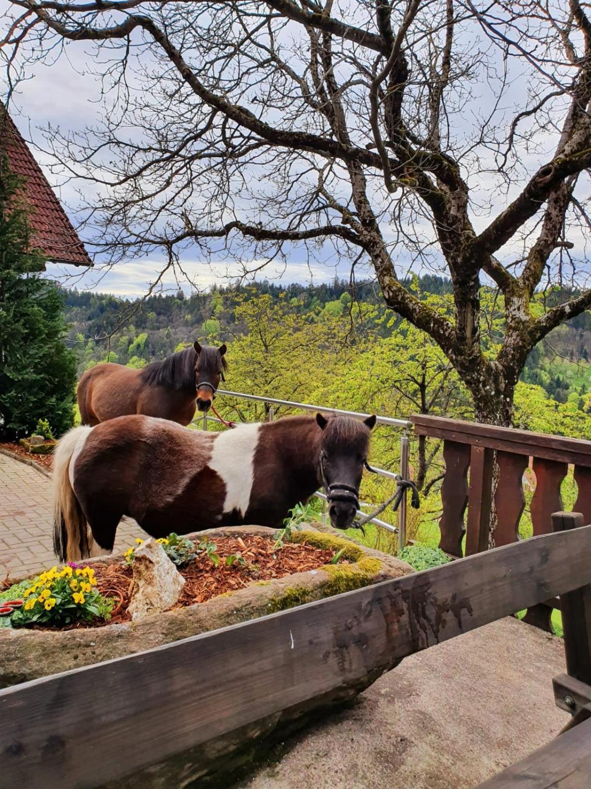 Ferienhof Fischer Зеебах Экстерьер фото